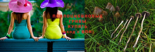 гидропоника Арсеньев